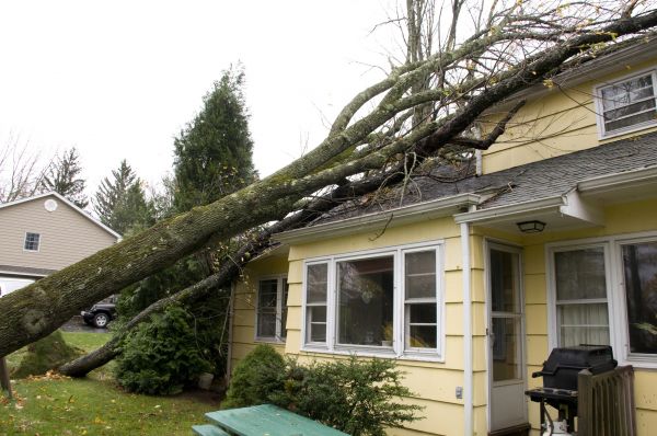 Hurricane Damage Repair in Yucaipa
